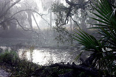 Nature Trail, Peace River Preserve
